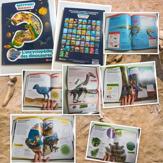 Questions Réponses ! L’encyclopédie des dinosaures – Nathan