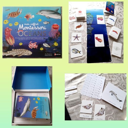 Mon coffret Montessori des océans