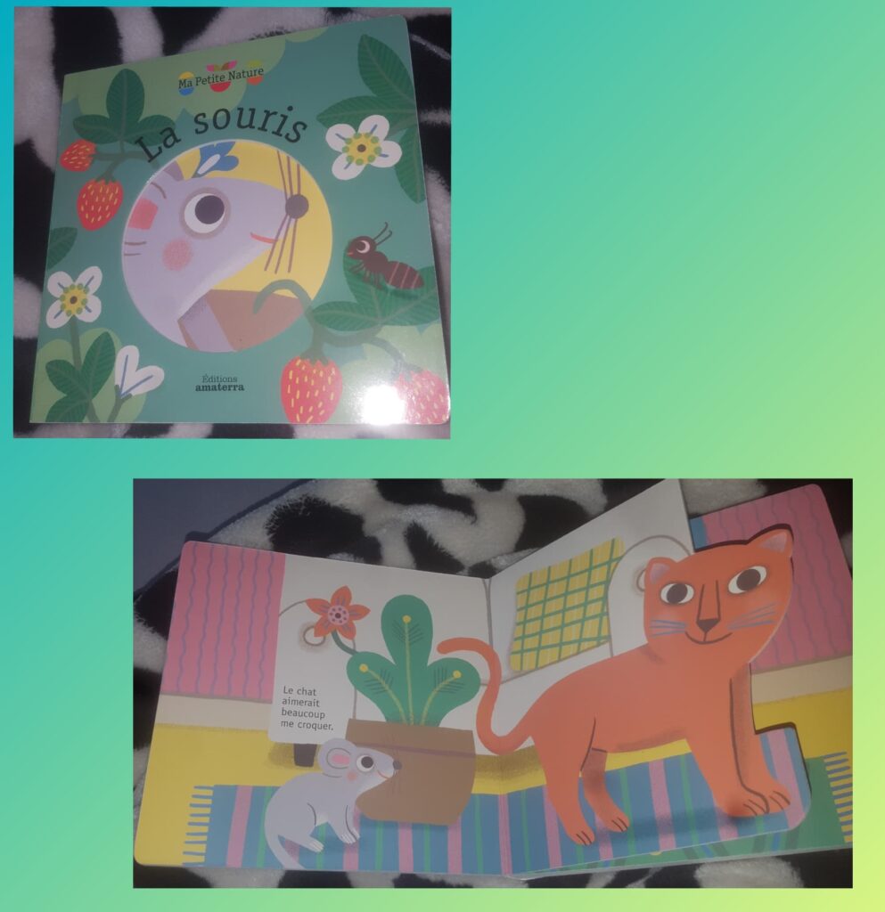 Ma Petite Nature – La souris