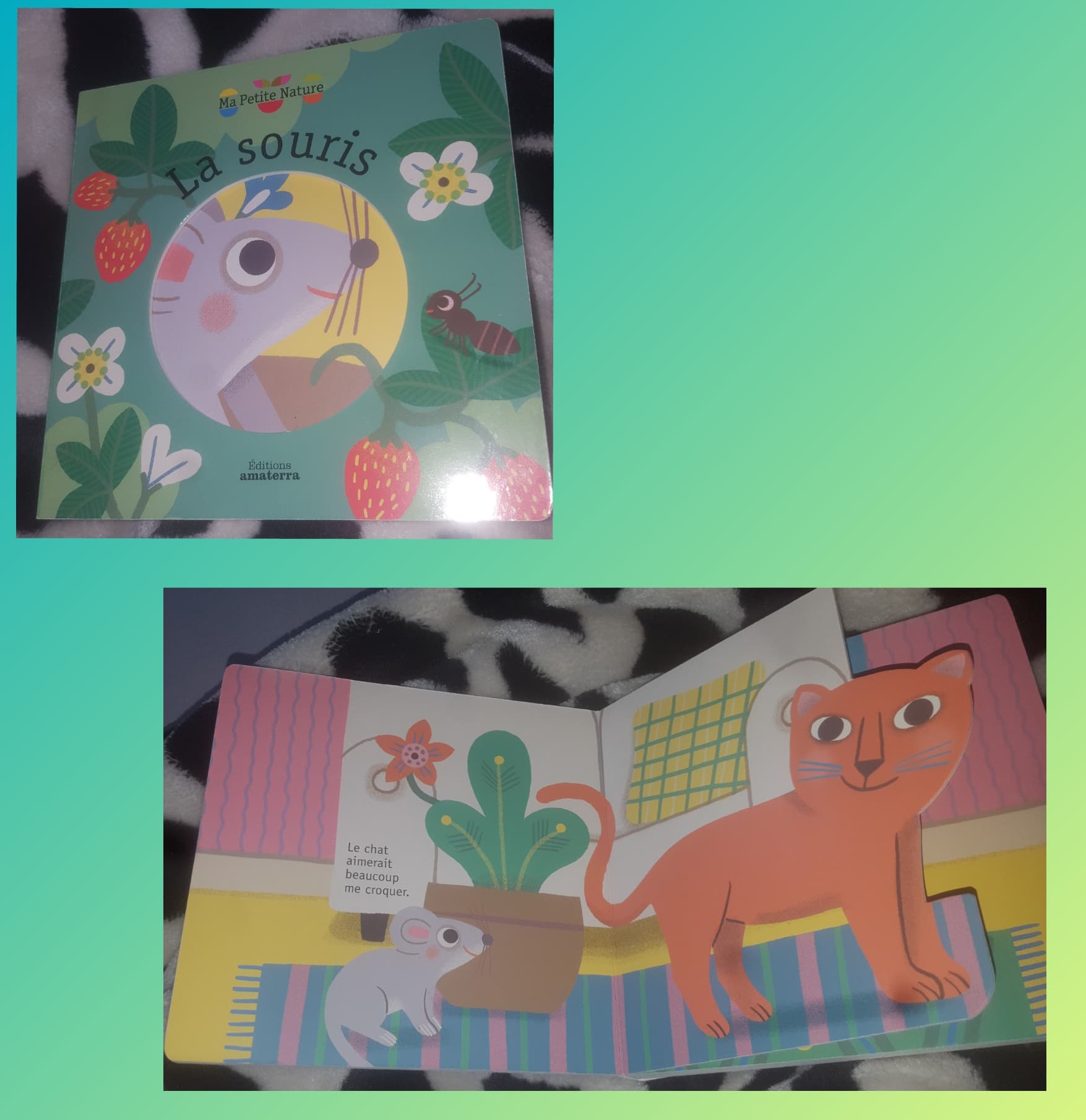 Ma Petite Nature – La souris