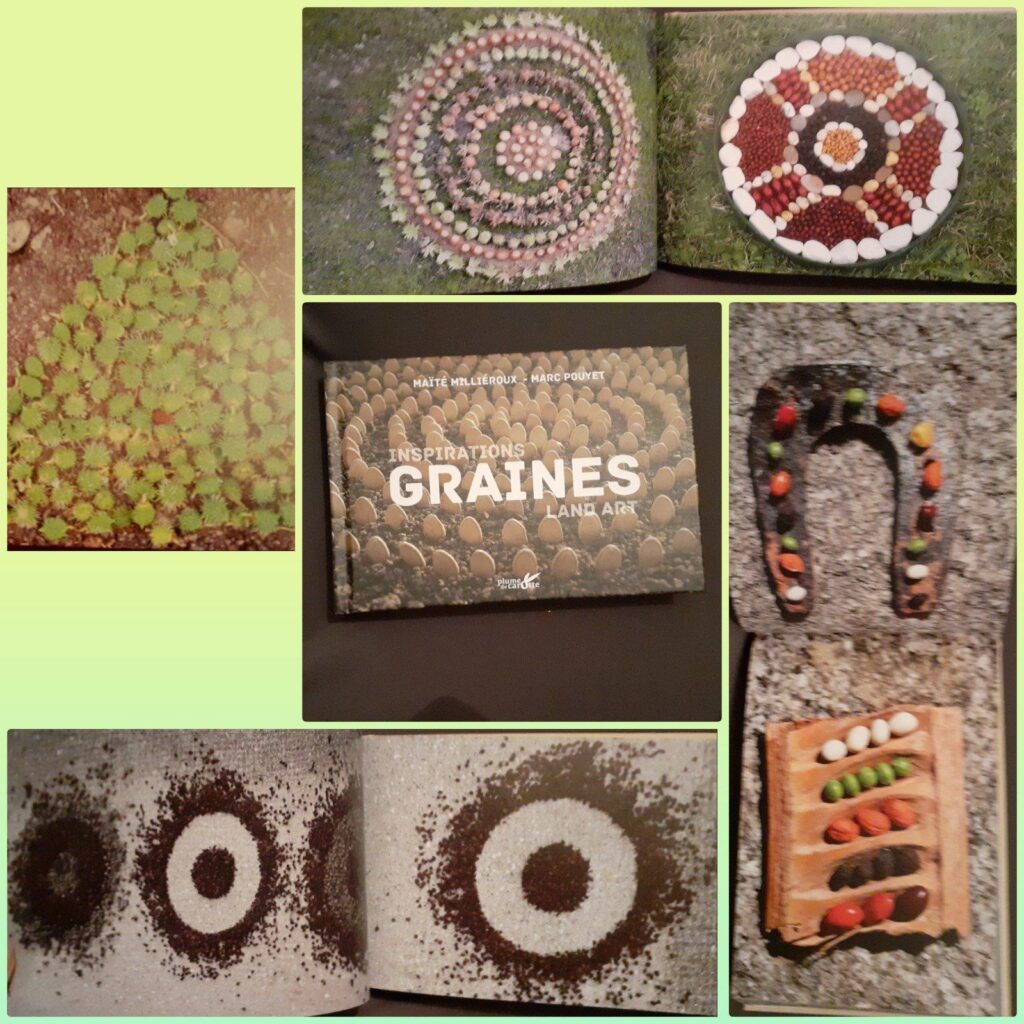 Inspirations graines land art