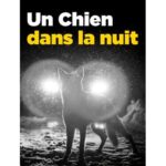 Un chien dans la nuit