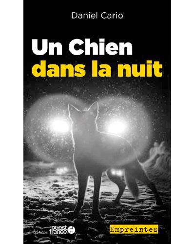 Un chien dans la nuit