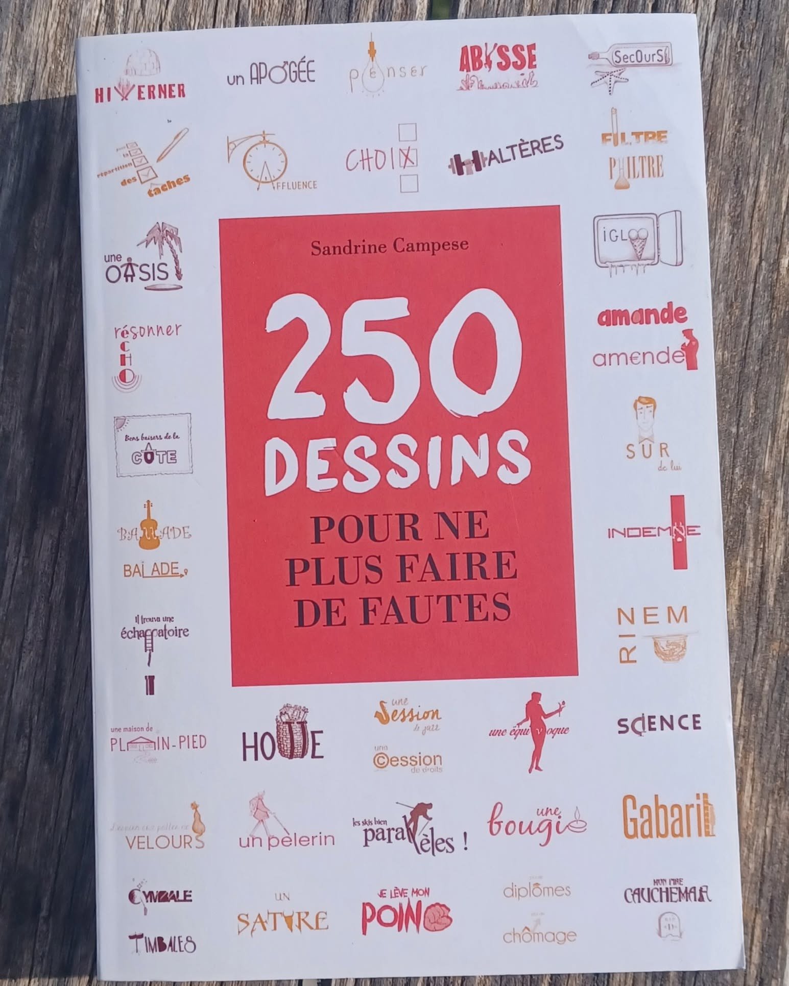 250 dessins pour ne plus faire de fautes