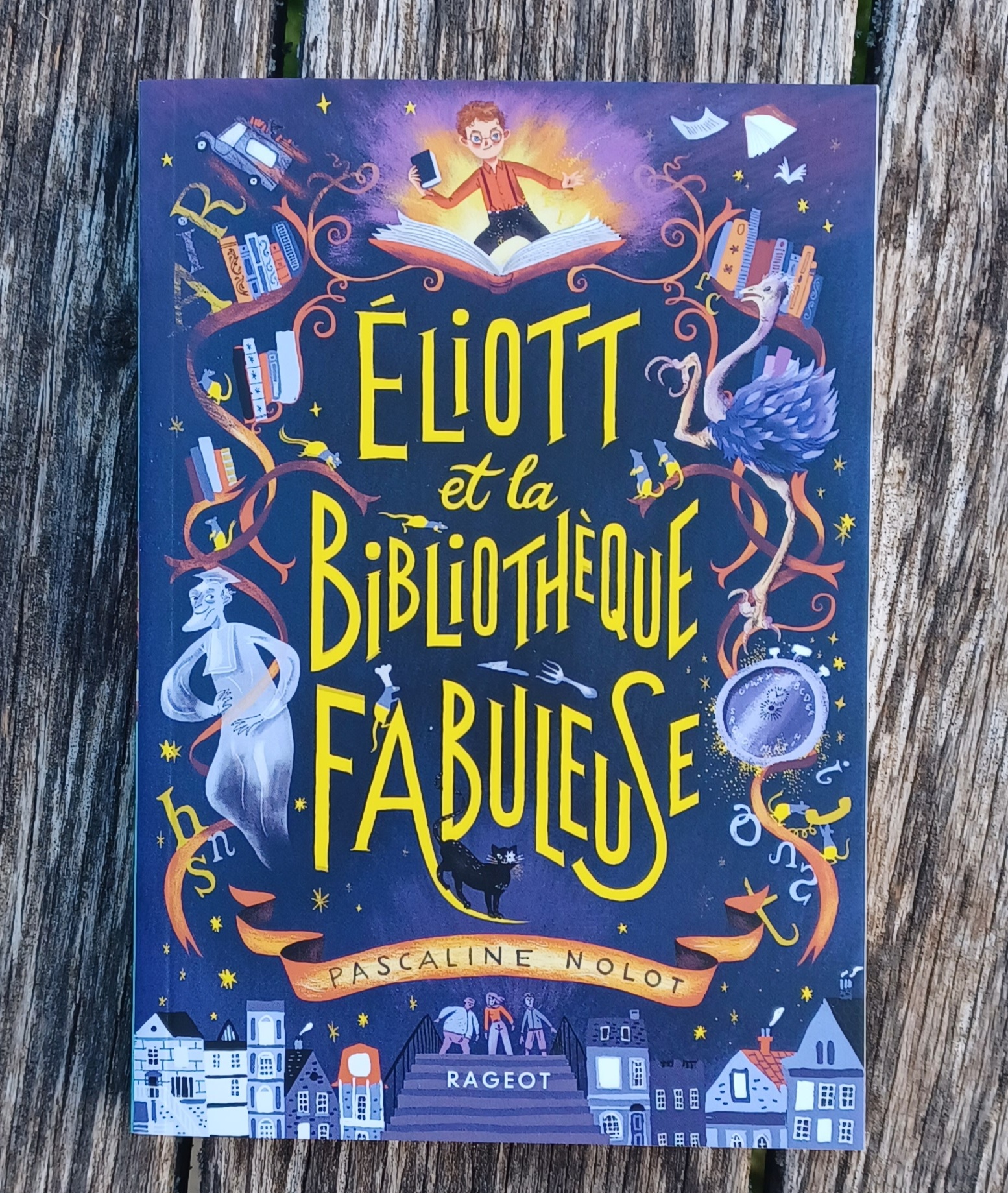 Éliott et la bibliothèque fabuleuse