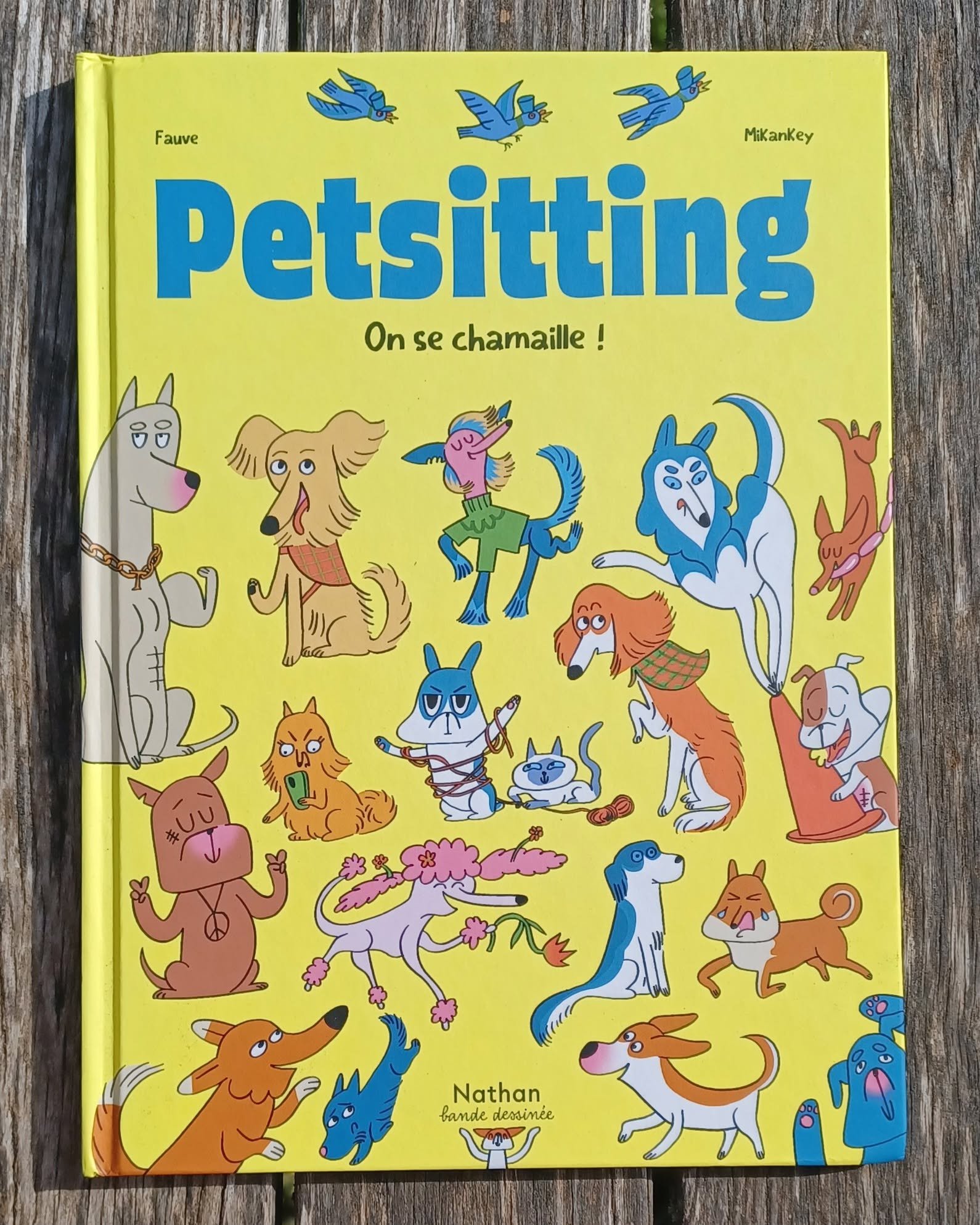 Petsitting – On se chamaille !