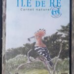 Ile de Ré – Carnet nature été