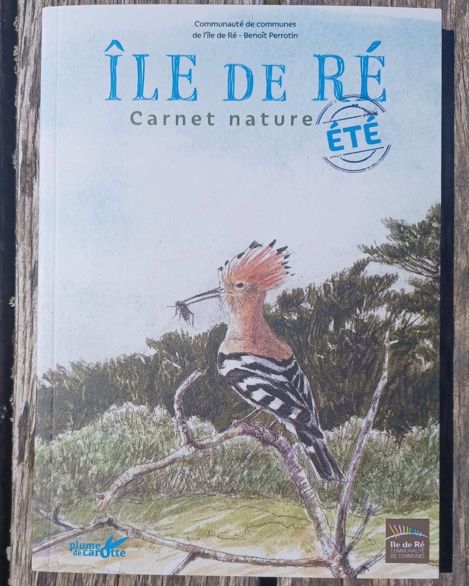 Ile de Ré – Carnet nature été