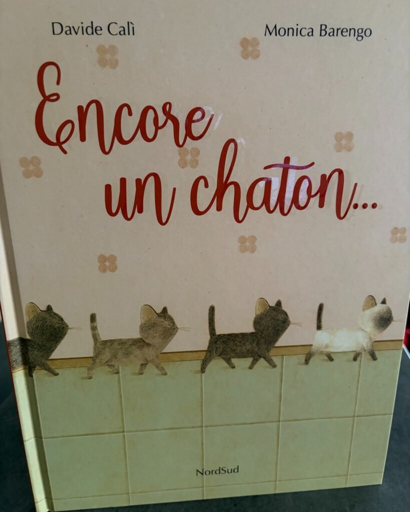 Encore un chaton…