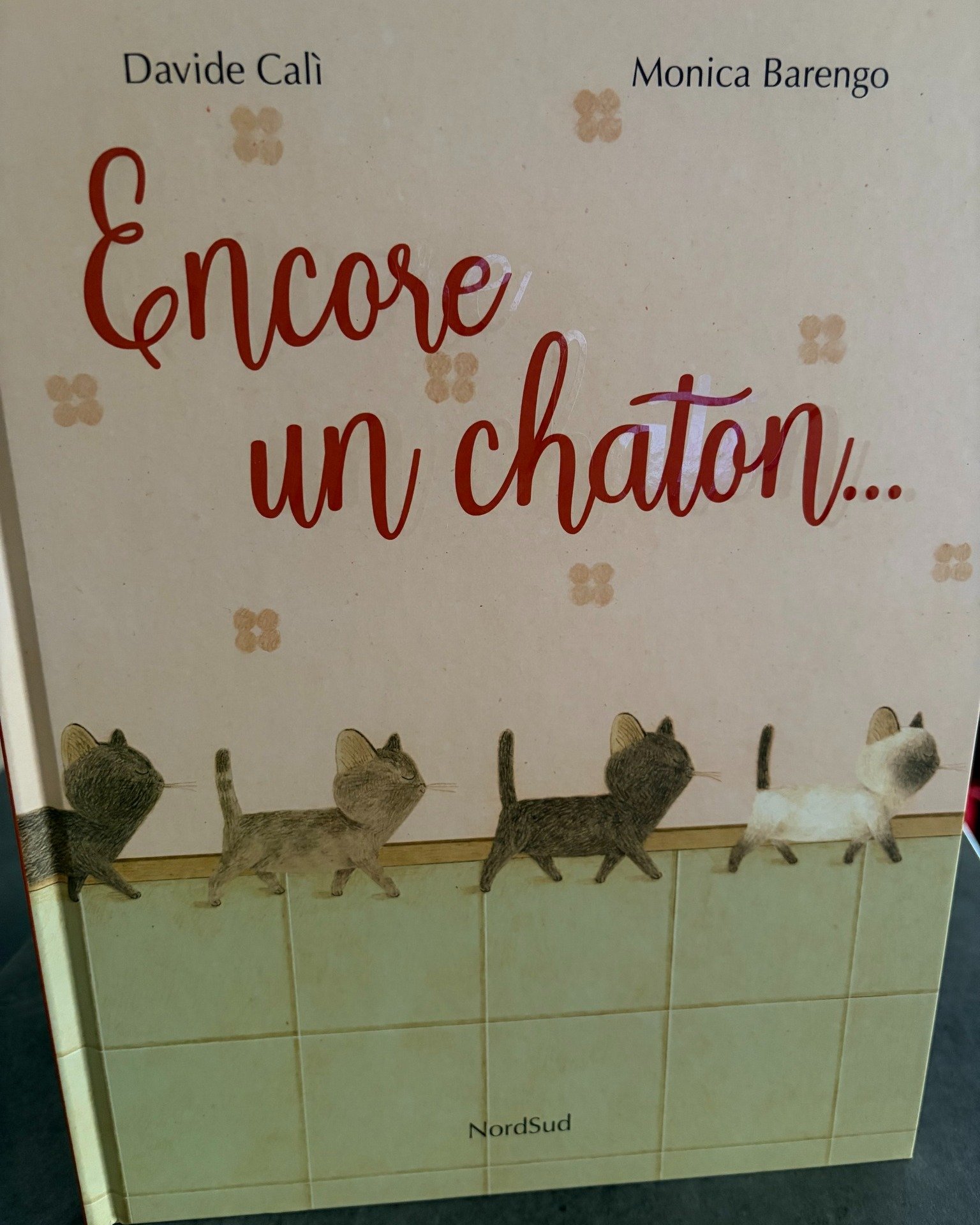 Encore un chaton…