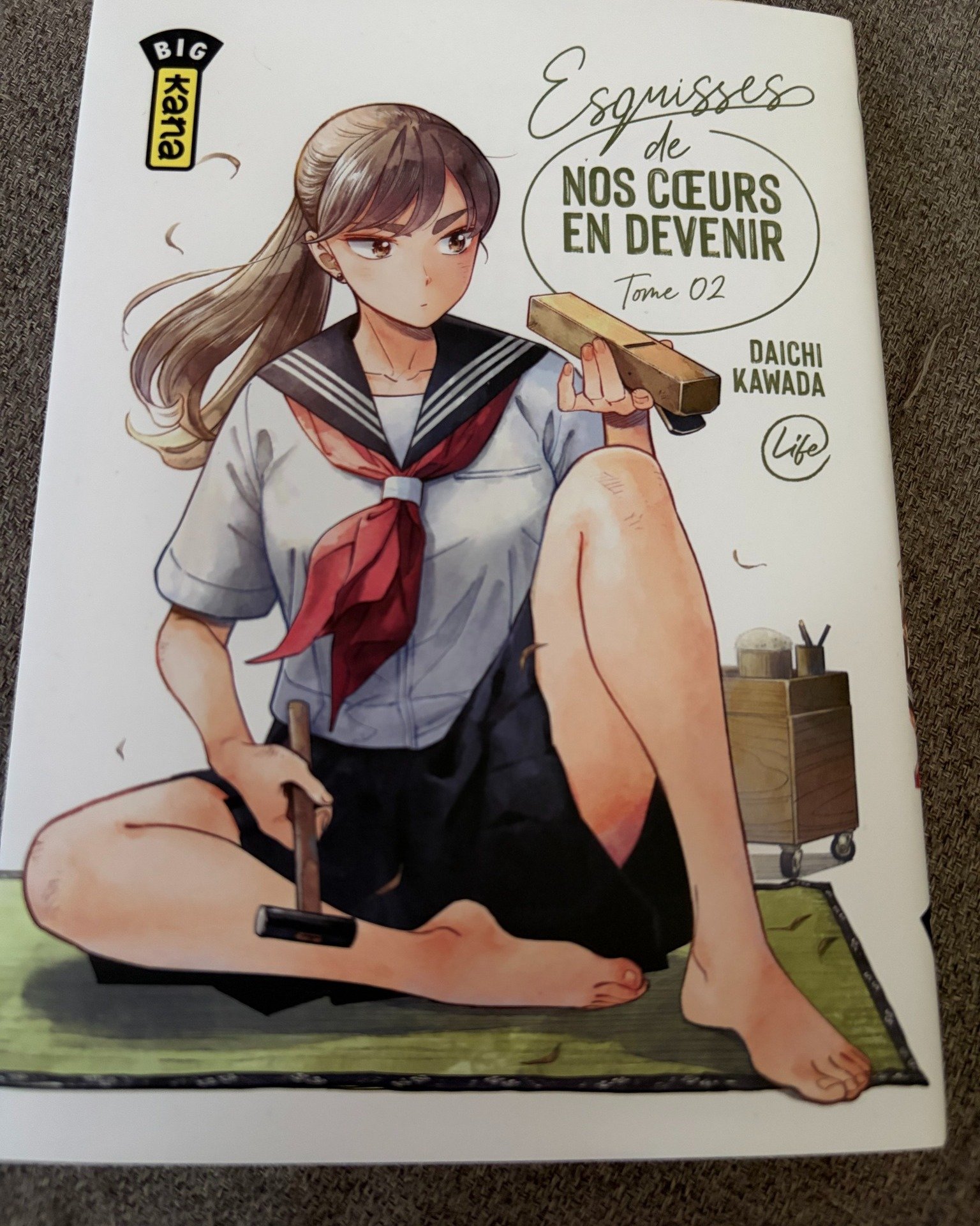 Esquisses de nos coeurs en devenir – tome 2