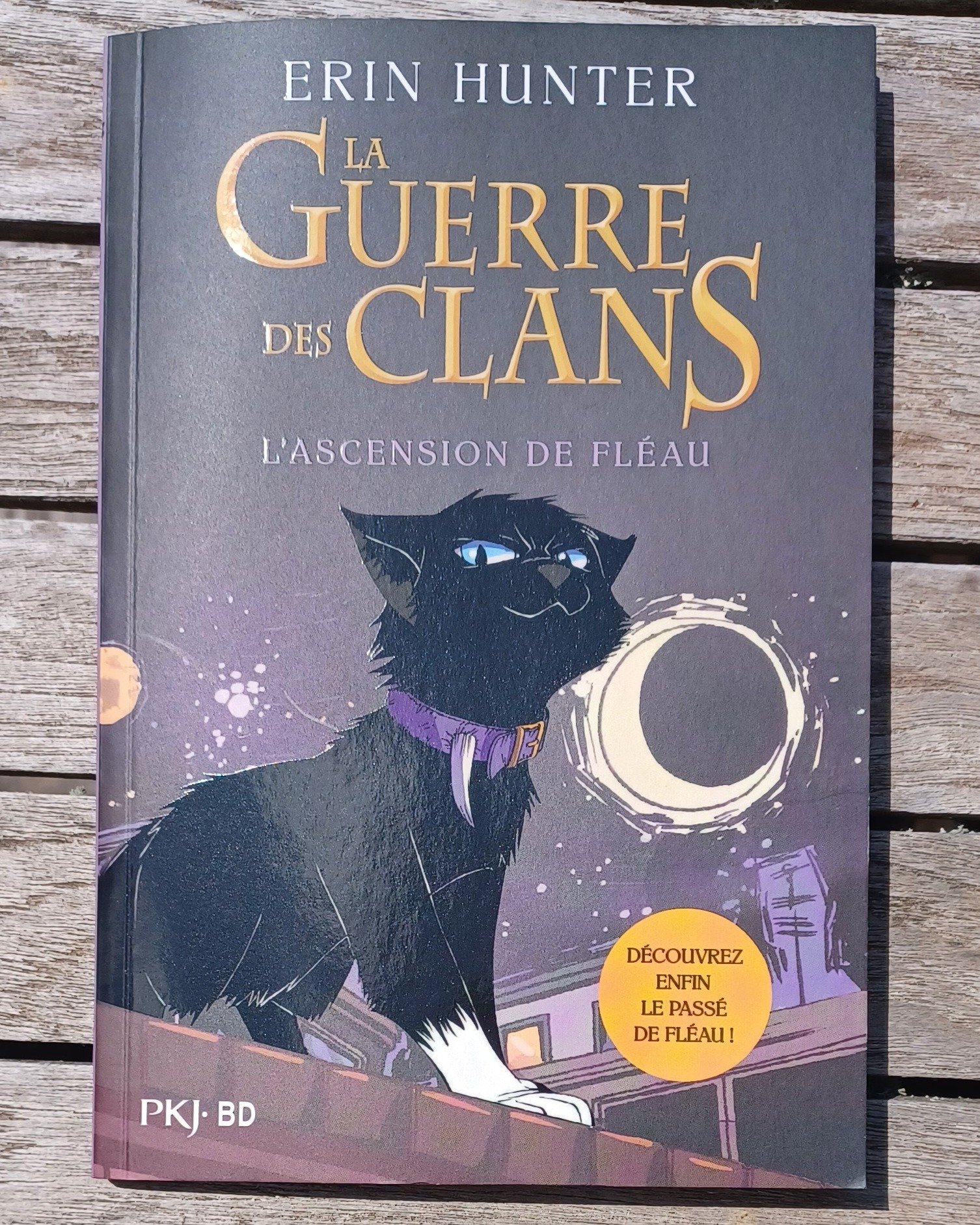 La guerre des clans – L’ascension de Fléau