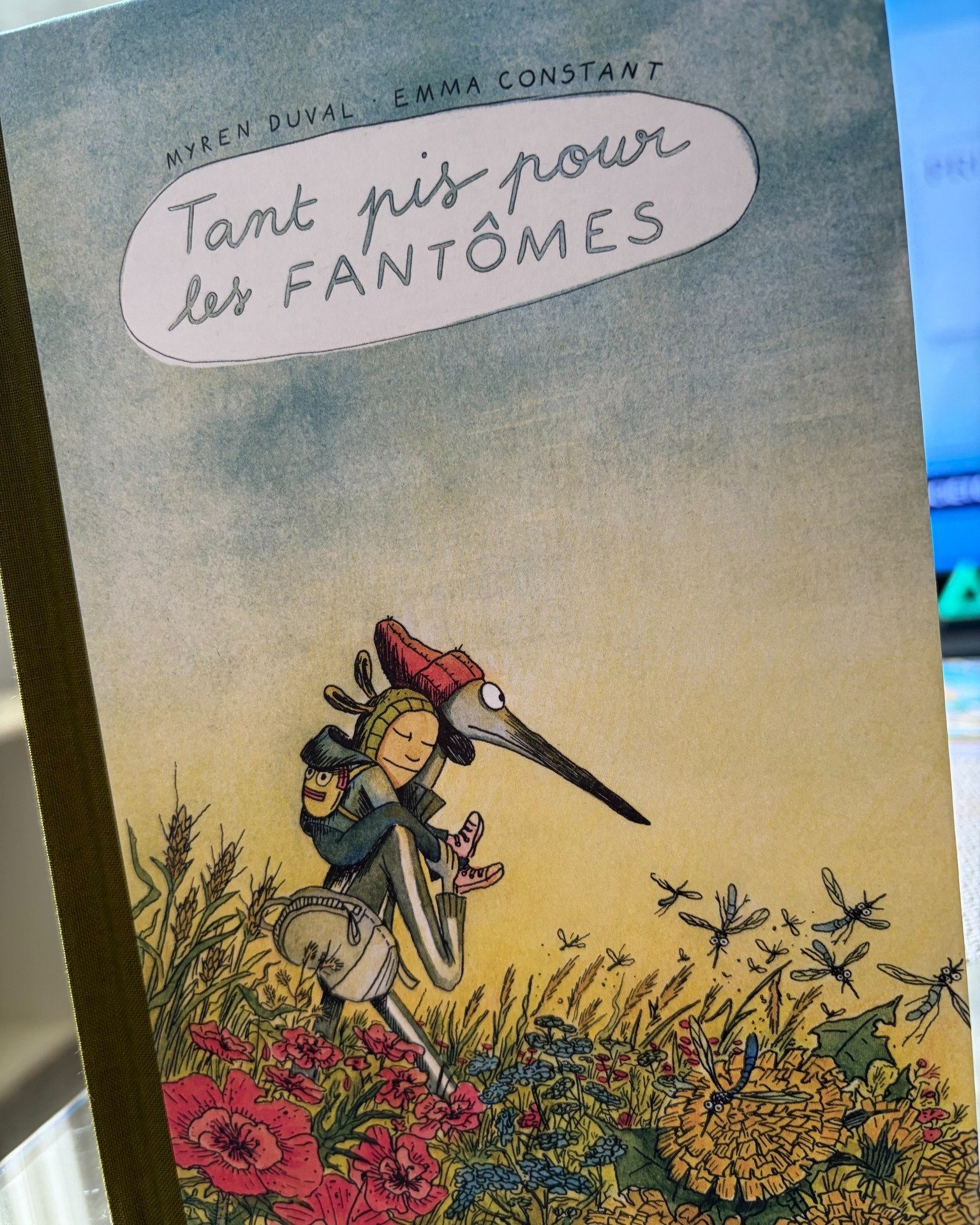 Tant pis pour les fantomes.