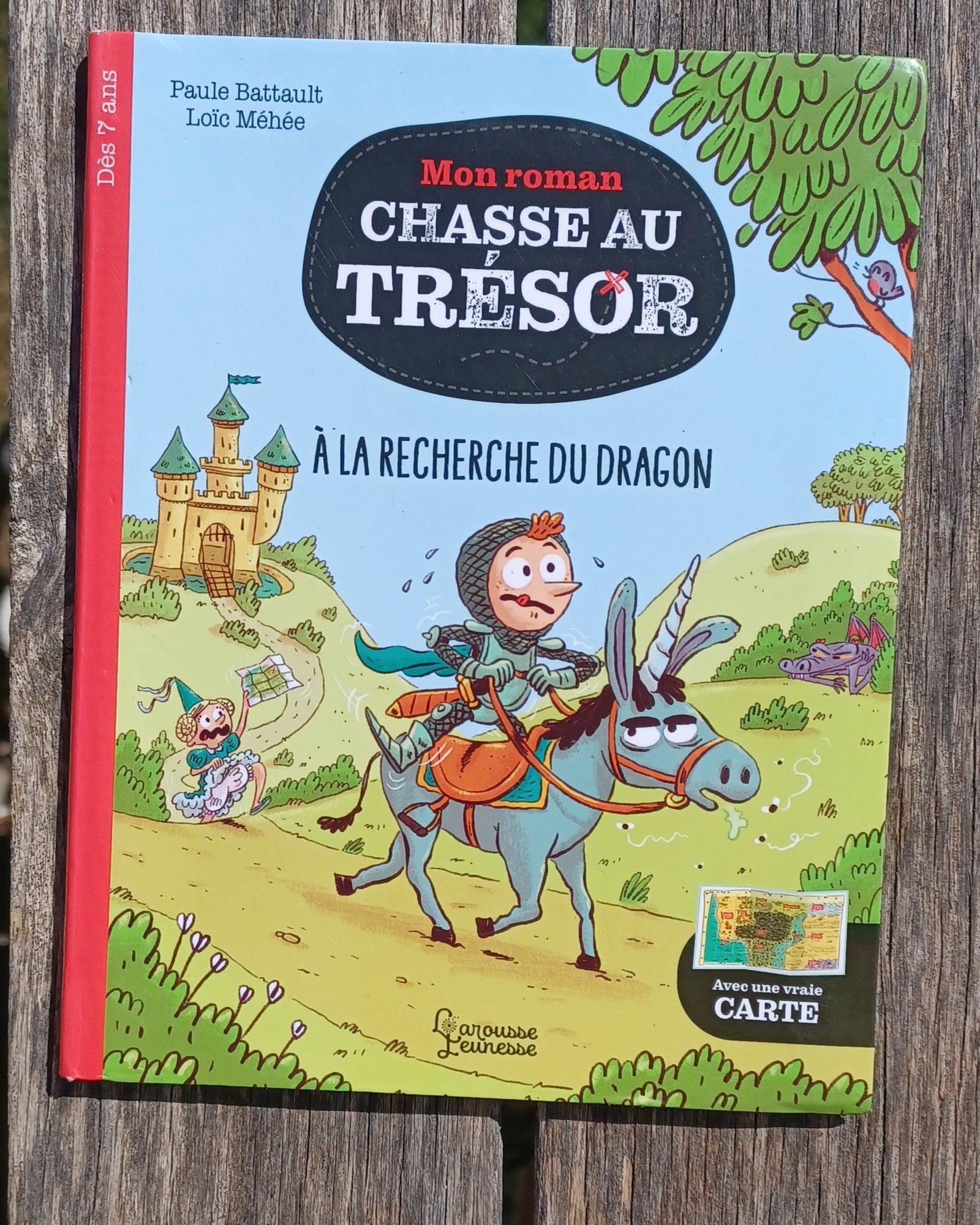 À la recherche du dragon