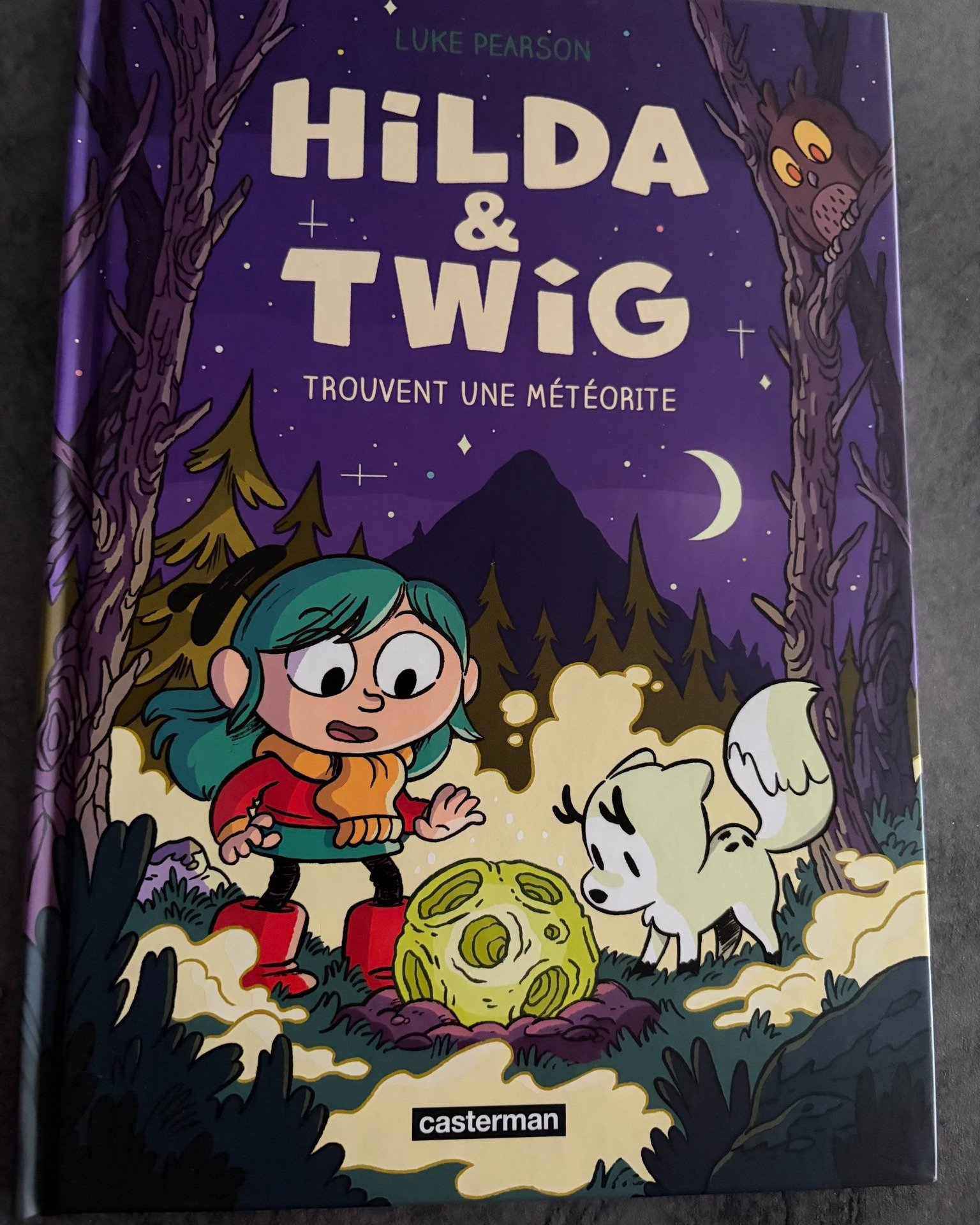 Hilda & Twig trouvent une météorite ⛺️🌌🌟