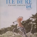 Île de Ré Carnet Nature ETE.