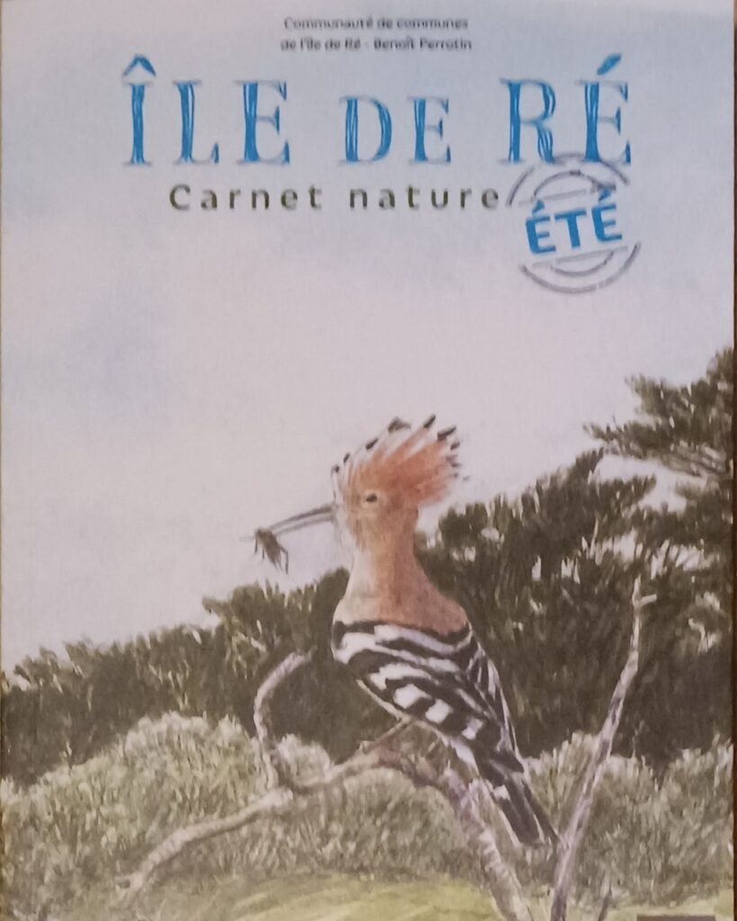 Île de Ré Carnet Nature ETE.