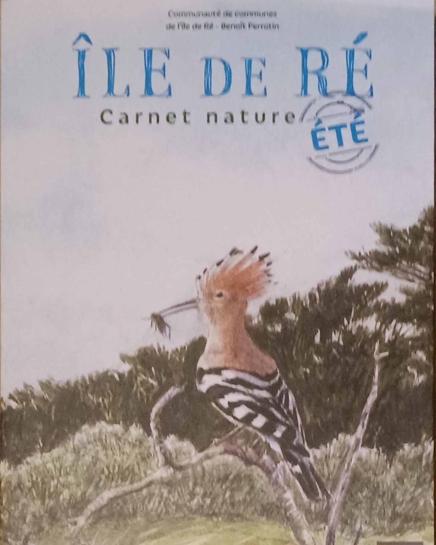 Île de Ré Carnet Nature ETE.