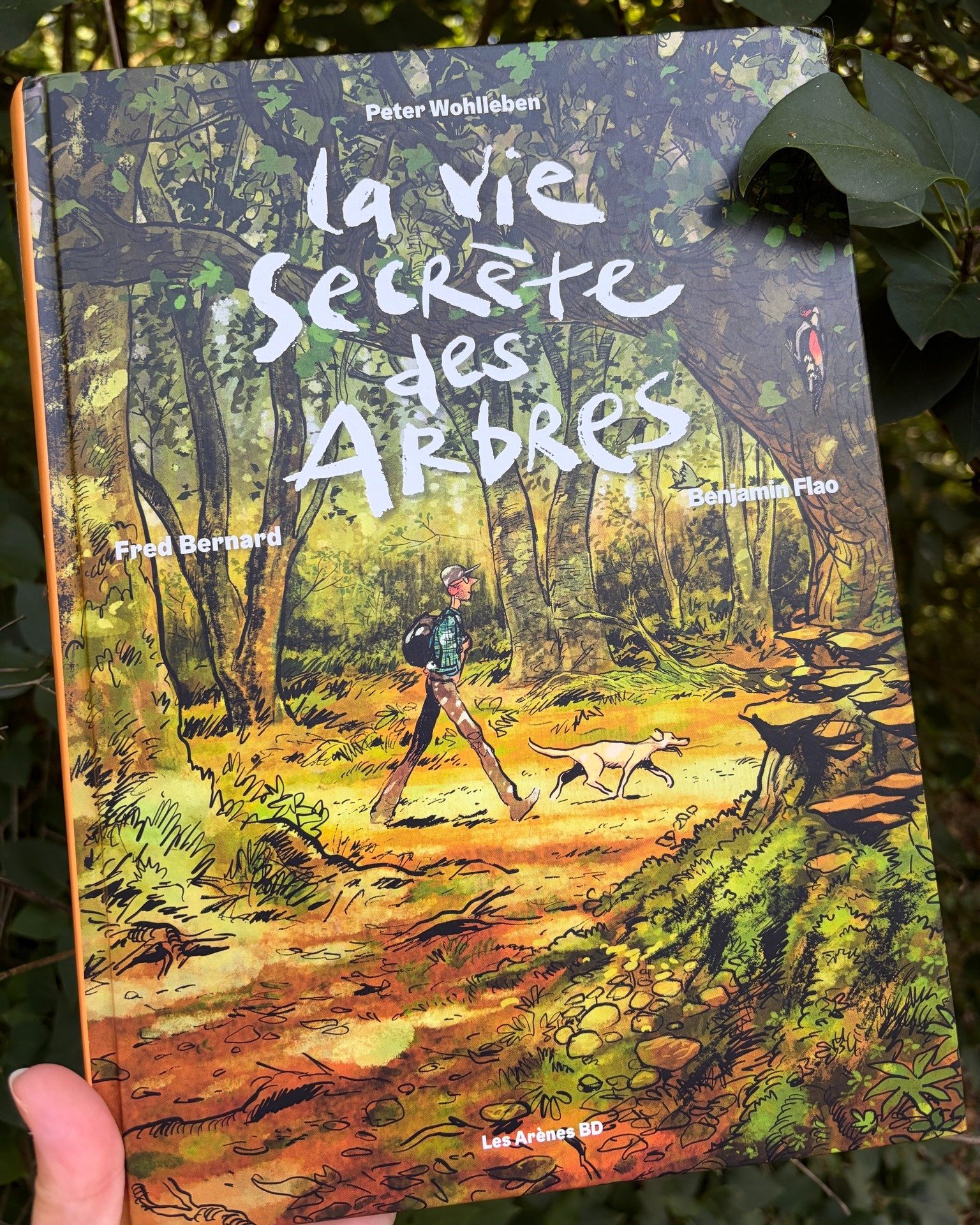 La vie secrète des arbres (BD)