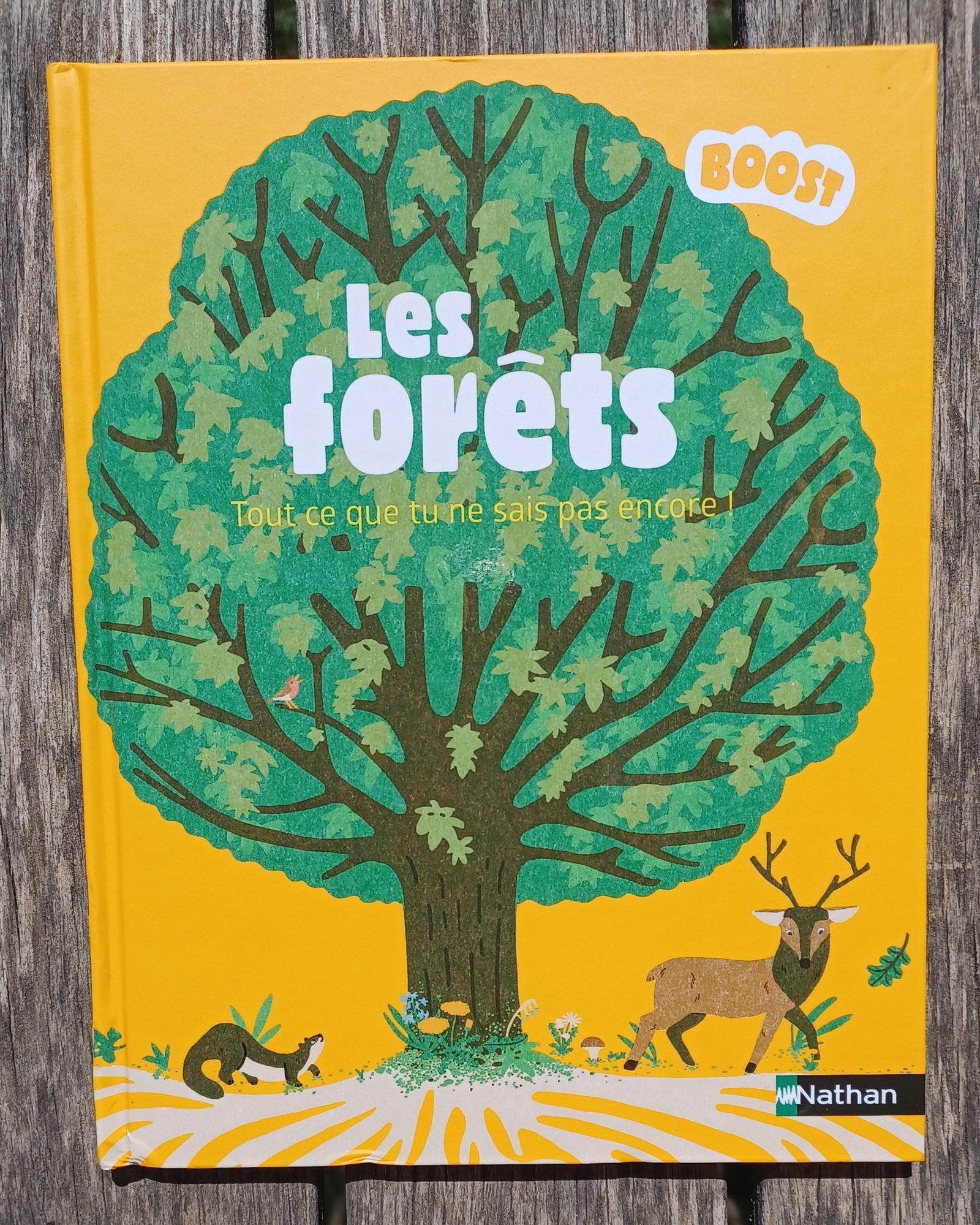 Les forêts