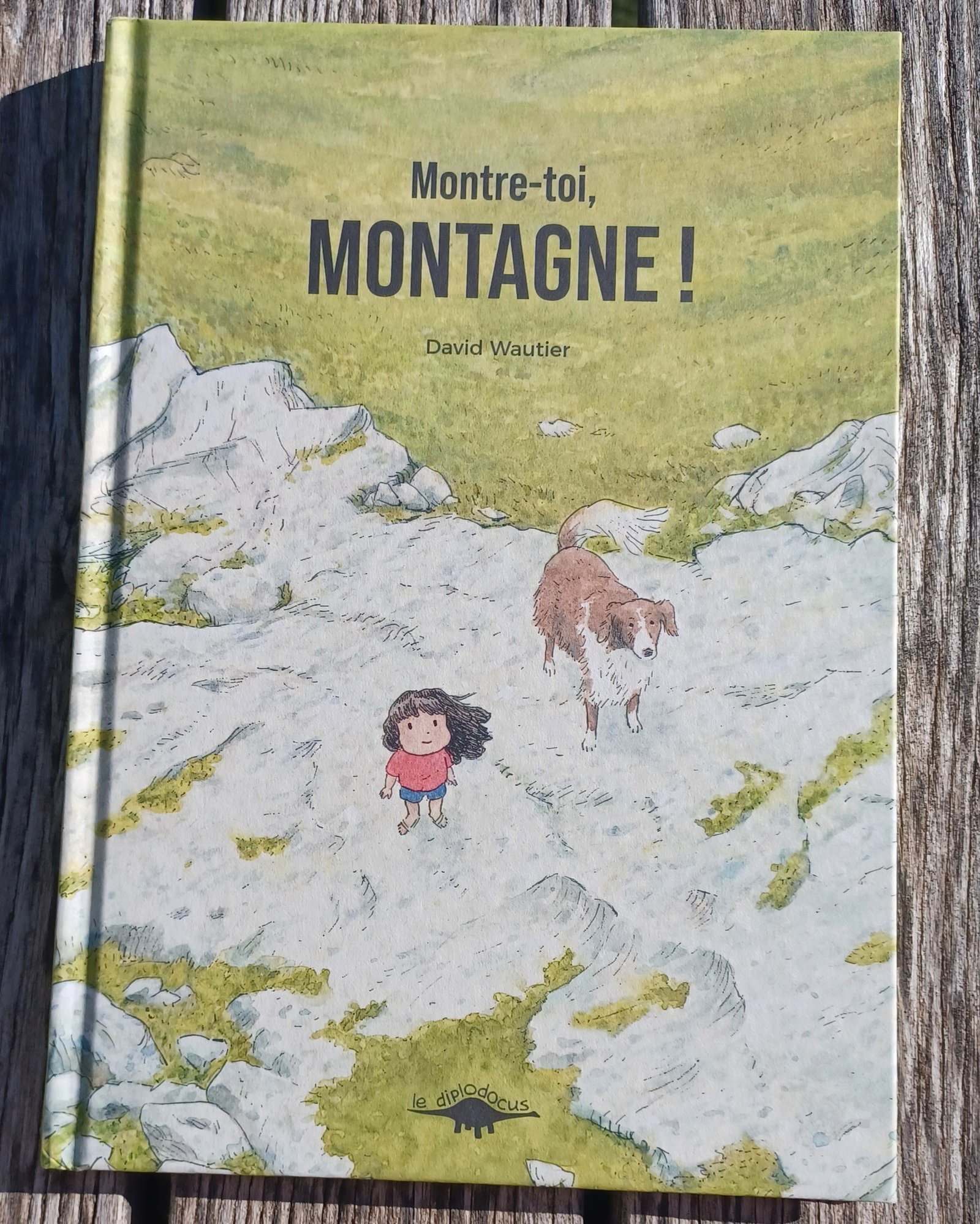 Montre-toi montagne !