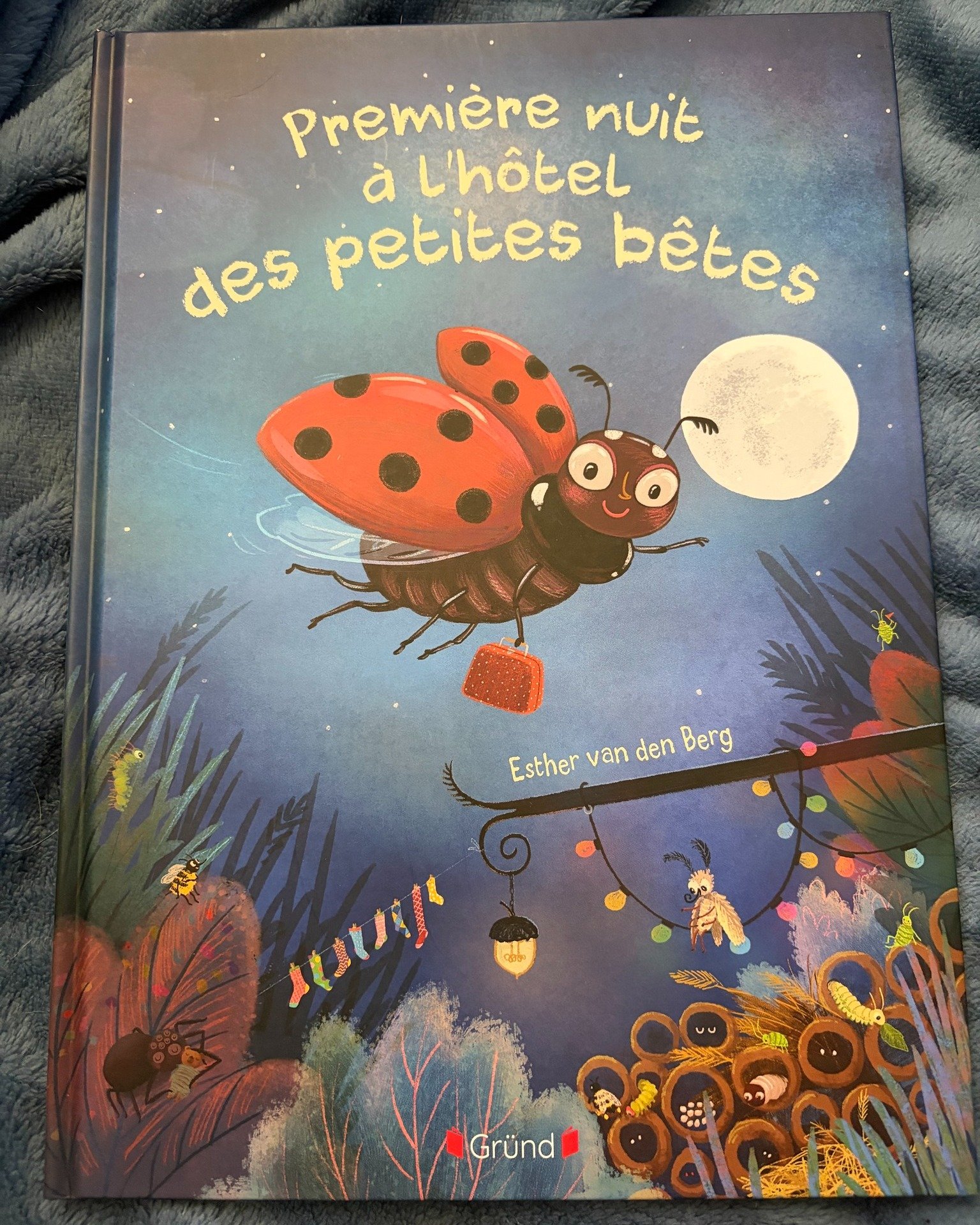 Première nuit à l’hôtel des petites bêtes