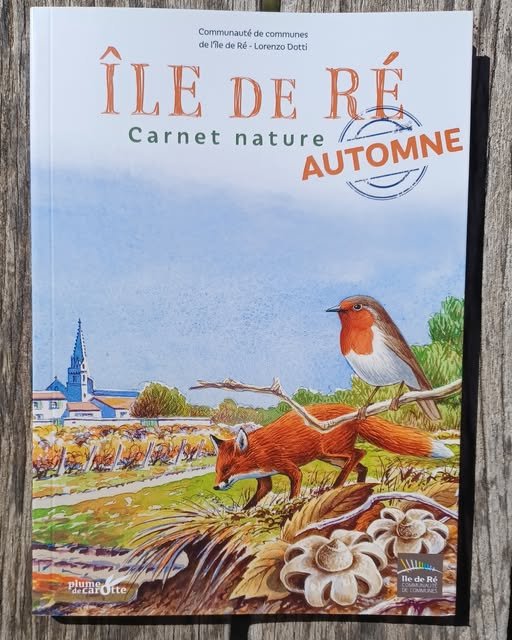 Île de Ré : carnet nature AUTOMNE