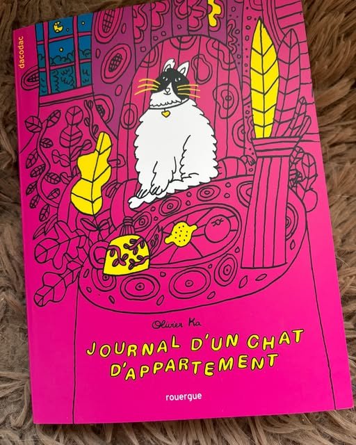𝖩𝗈𝗎𝗋𝗇𝖺𝗅 𝖽’𝗎𝗇 𝖼𝗁𝖺𝗍 𝖽’𝖺𝗉𝗉𝖺𝗋𝗍𝖾𝗆𝖾𝗇𝗍 🐱🛋️