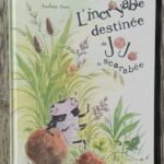 L&rsquo;incroyable destinée de Jojo le scarabée