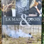 La main & le bois