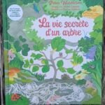 La vie secrète d&rsquo;un arbre