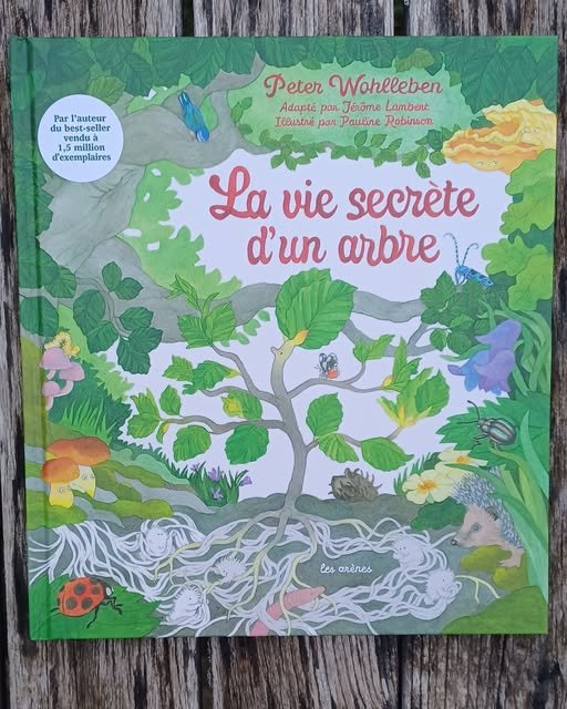 La vie secrète d’un arbre