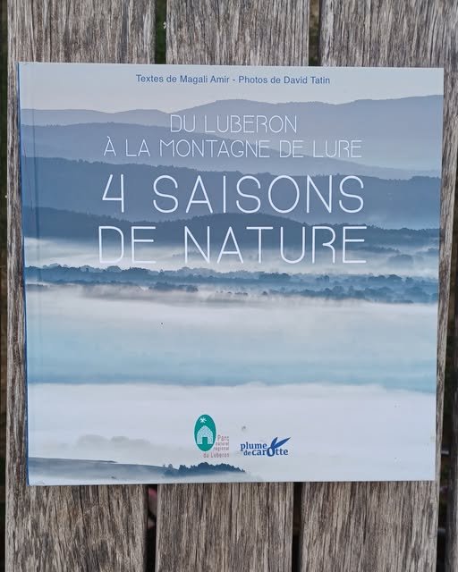 Du Luberon à la montagne de Lure